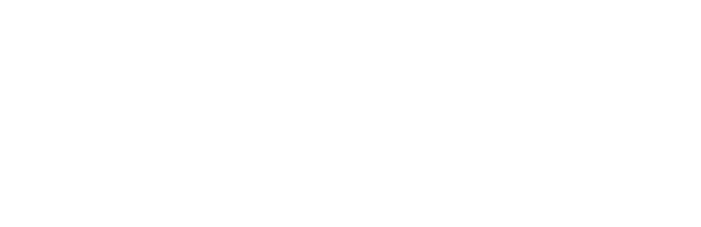 chlor-dash
